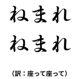 842742834