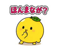 842743060
