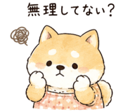 842743131