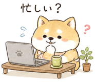 842743137
