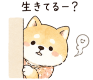 842743138