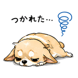842743838