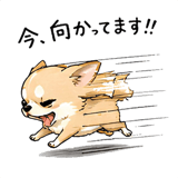 842743855