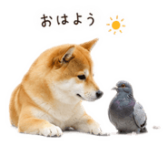842744169