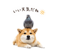842744170