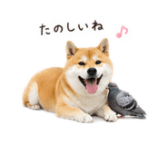 842744178