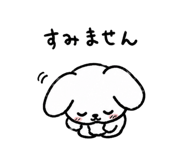 842744329