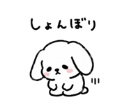 842744341
