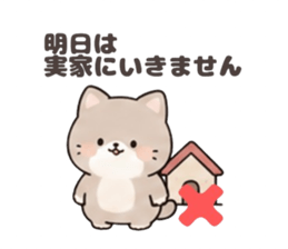 842744525
