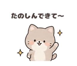 842744526