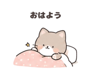 842744529