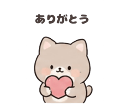 842744534