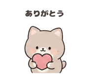 842744534