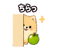 842745182