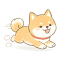 842746244