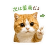 842746604