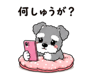 842746899
