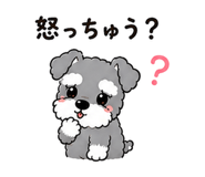 842746907