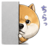 842747149