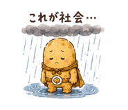 842747167