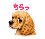 842747264