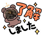 842748146
