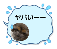 842748152