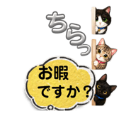 842748953
