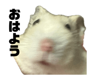 842748993