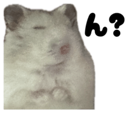 842749001
