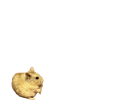 842749014