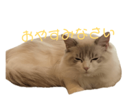 842749073