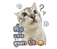 842749303