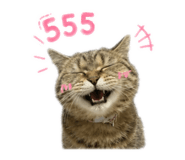 842749737