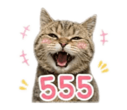 842749742