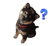 842749799