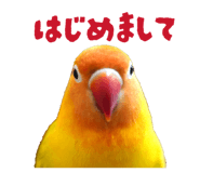 842749929