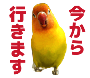842749931