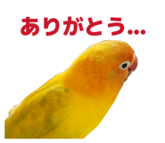 842749932