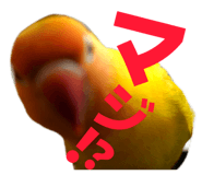 842749933