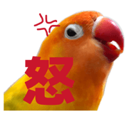 842749934