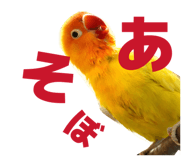 842749935