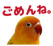 842749936