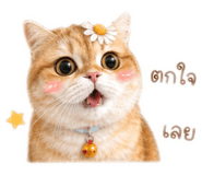 842750083