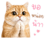 842750086