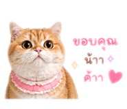 842750091