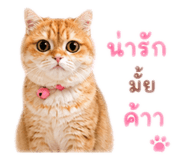 842750092