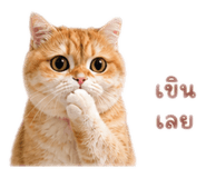 842750110