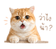 842750117