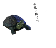 842750133